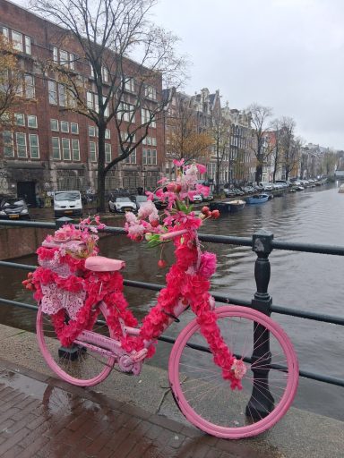 Artwork everywhere in Amsterdam